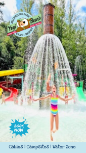  Yogi Bear’s Jellystone Park Camp-Resort: Golden Valley, NC